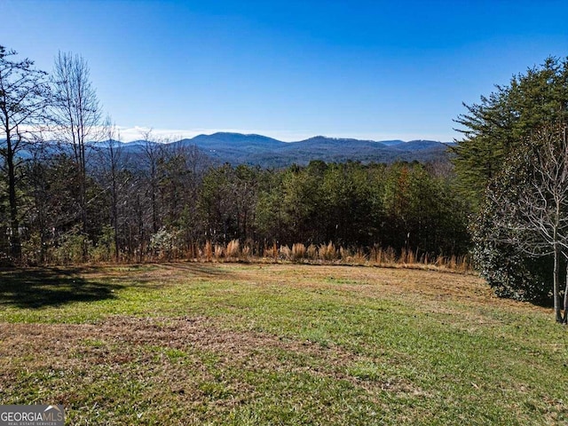 LOT13 High Meadows Trl, Morganton GA, 30560 land for sale