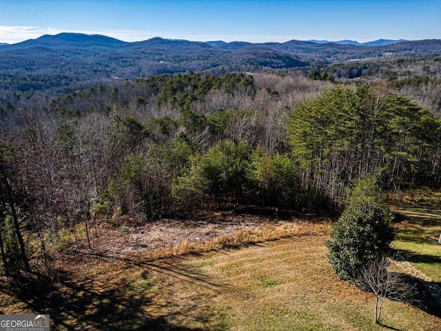 Listing photo 2 for LOT13 High Meadows Trl, Morganton GA 30560