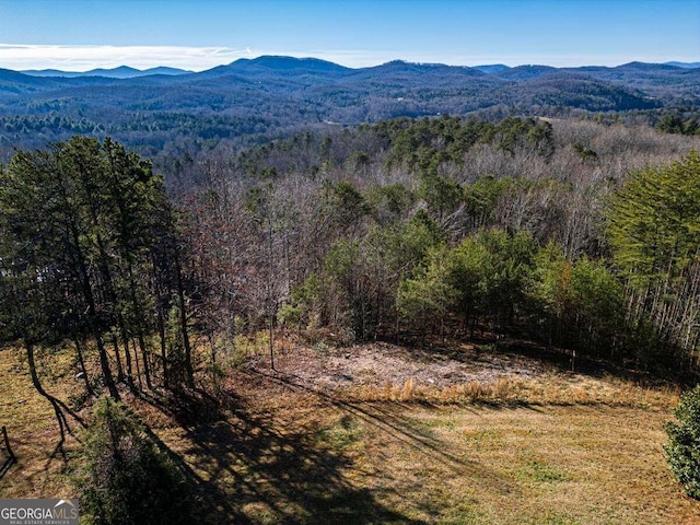 Listing photo 3 for LOT13 High Meadows Trl, Morganton GA 30560