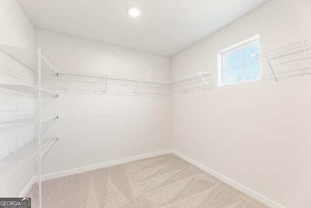 walk in closet featuring carpet flooring