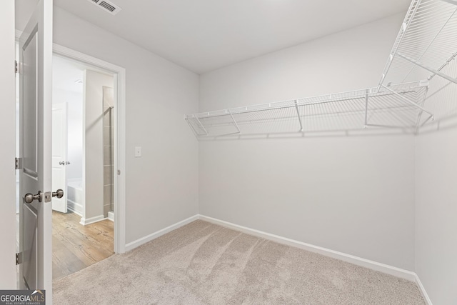 walk in closet featuring carpet