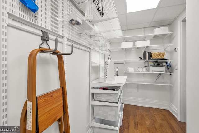 walk in closet featuring dark hardwood / wood-style floors and a paneled ceiling