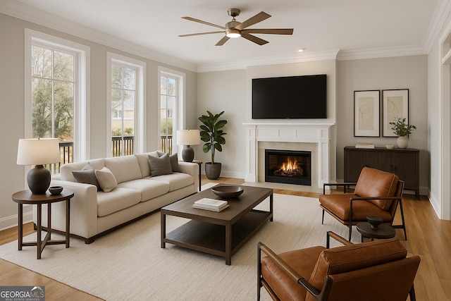 4974 Dovecote Trl, Suwanee, GA 30024 - living room with ceiling fan, ornamental molding, light wood-style flooring, and a fireplace with flush hearth