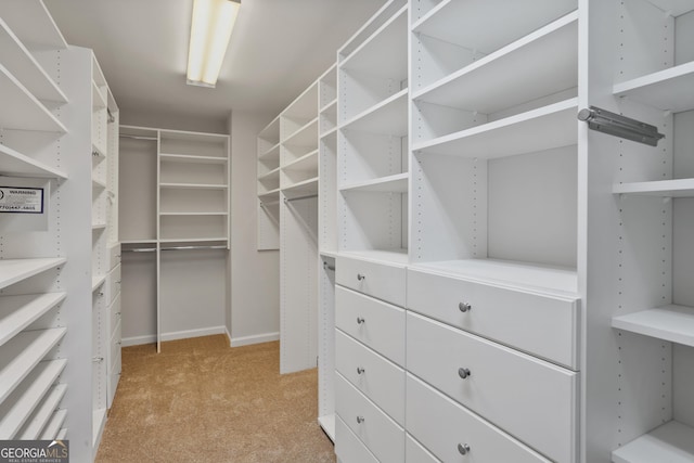 spacious closet with light carpet