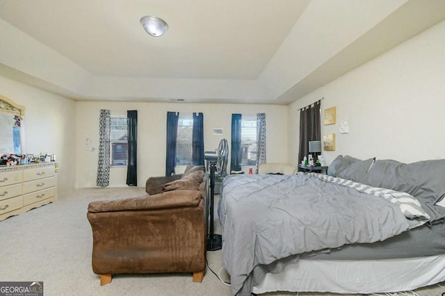 bedroom with a raised ceiling and carpet flooring