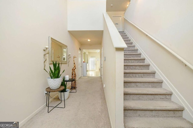 stairway featuring carpet flooring