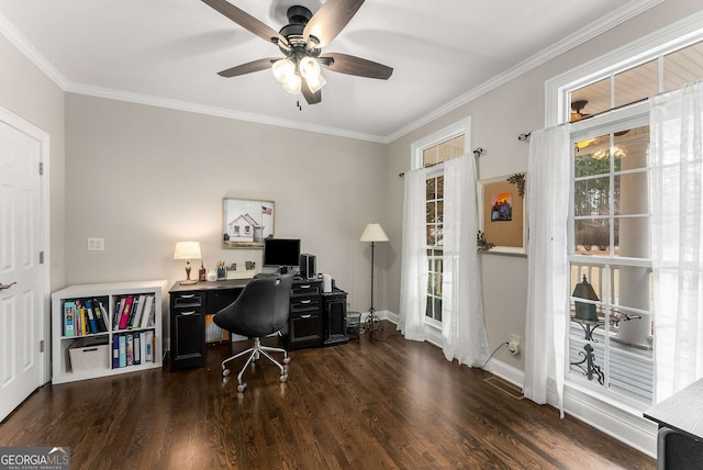 home office with dark hardwood / wood-style flooring, ornamental molding, and ceiling fan