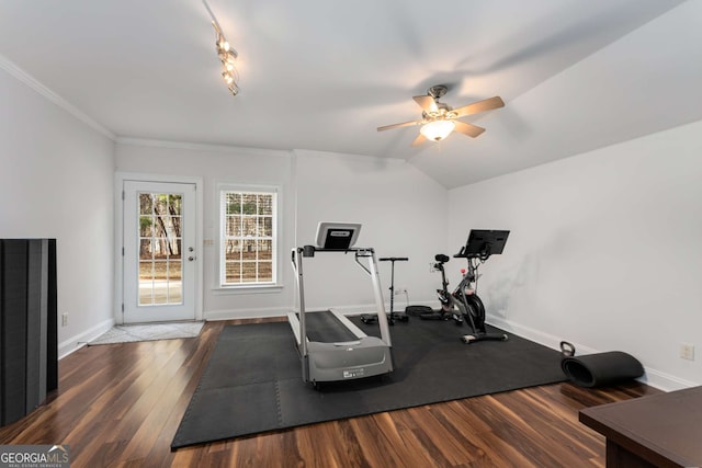 workout room featuring lofted ceiling, crown molding, dark wood-type flooring, and ceiling fan