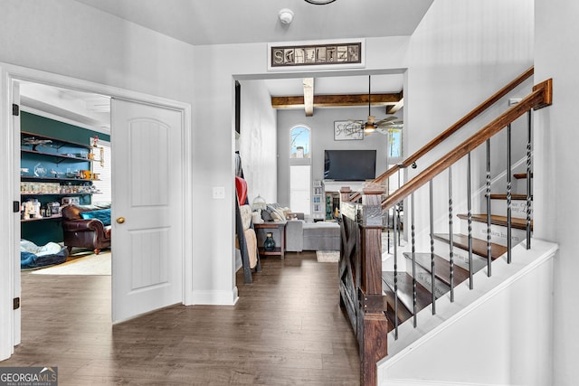 entrance foyer featuring ceiling fan, dark hardwood / wood-style floors, and beam ceiling