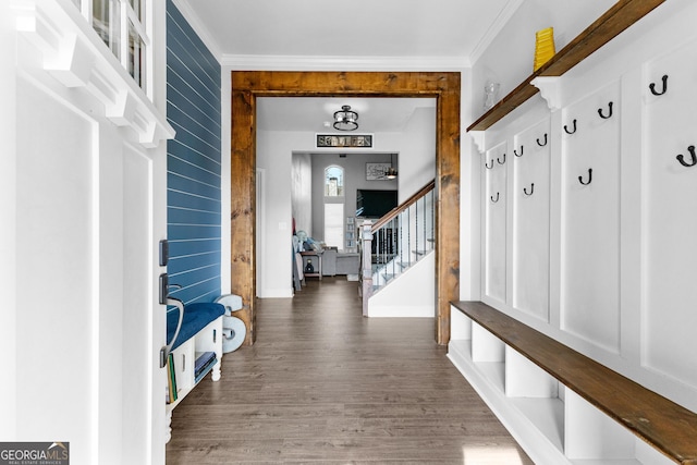 mudroom featuring crown molding and dark wood-type flooring