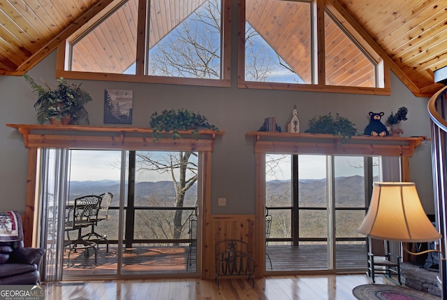 room details with beamed ceiling, a mountain view, hardwood / wood-style floors, and wood ceiling