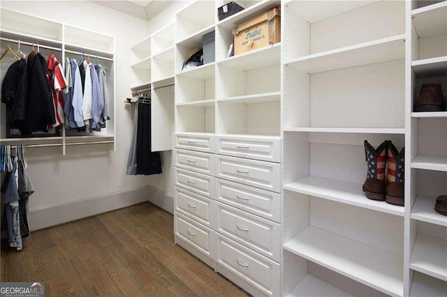 walk in closet featuring dark hardwood / wood-style floors