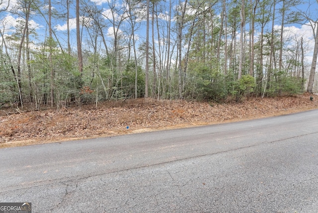 Listing photo 3 for 0 Red June Ln, Clarkesville GA 30523