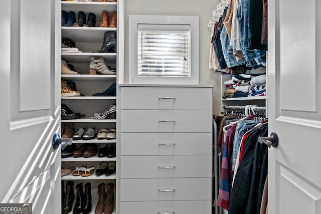 view of spacious closet