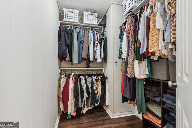 walk in closet featuring dark hardwood / wood-style floors