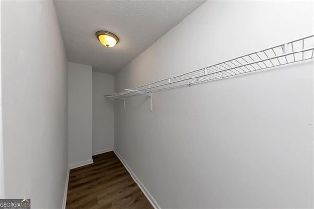 spacious closet with dark wood-type flooring