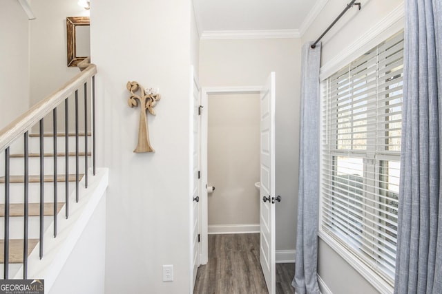 hallway featuring crown molding and wood-type flooring