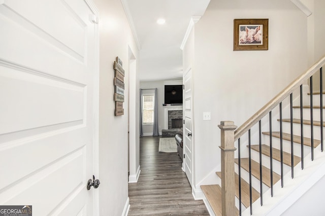 hall with crown molding and dark hardwood / wood-style floors