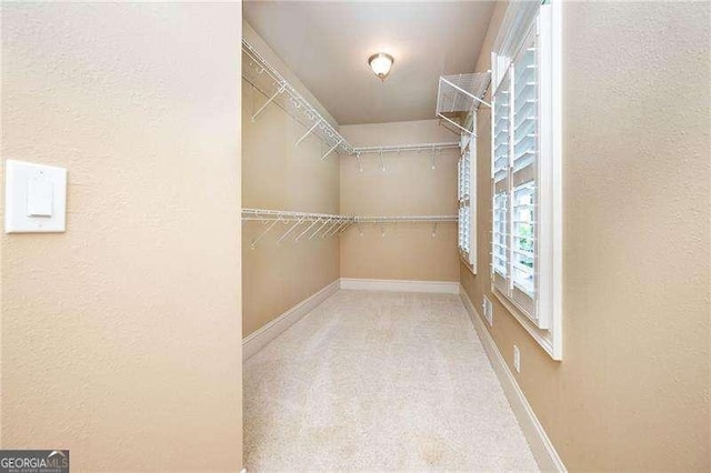 walk in closet featuring carpet floors