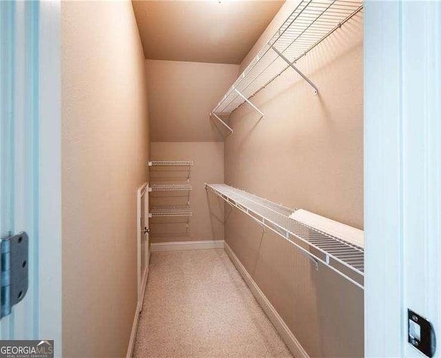 view of walk in closet