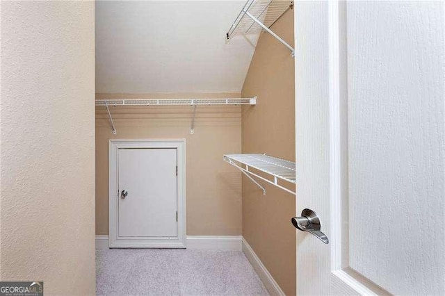 spacious closet with light colored carpet