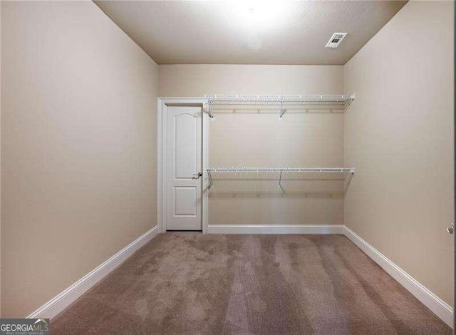 walk in closet featuring carpet floors