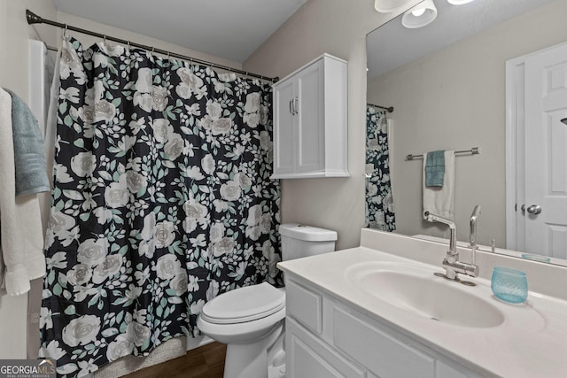 bathroom featuring vanity, wood-type flooring, and toilet