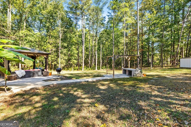 view of yard featuring a patio