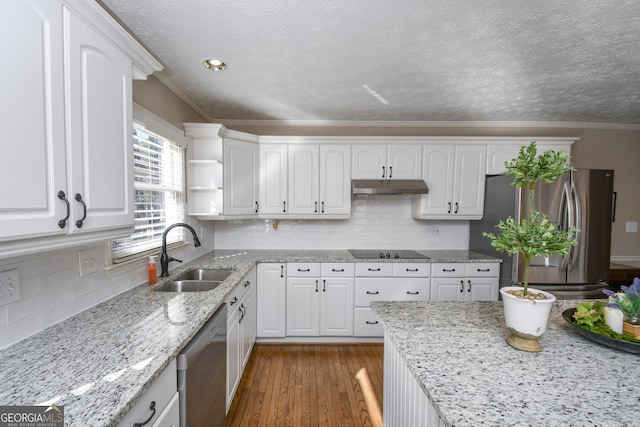 kitchen with under cabinet range hood, white cabinetry, stainless steel appliances, and a sink