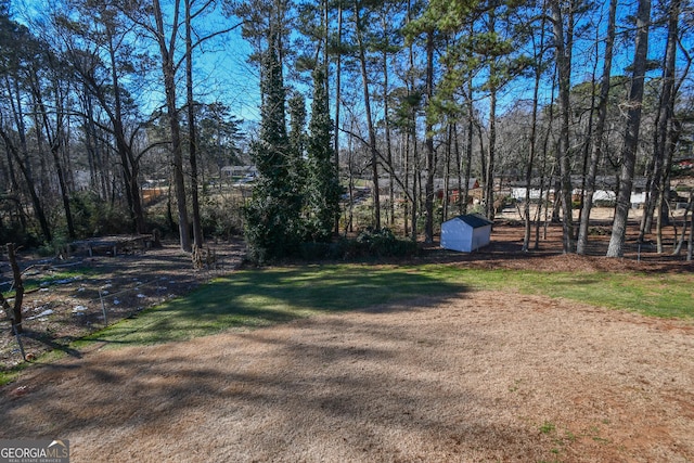 view of yard with an outbuilding and a storage unit