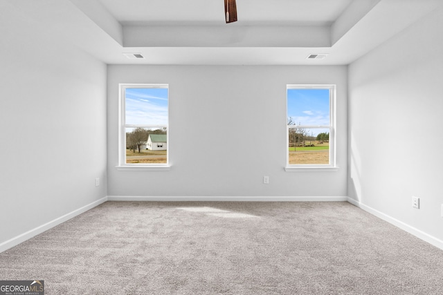 carpeted empty room featuring a raised ceiling and plenty of natural light