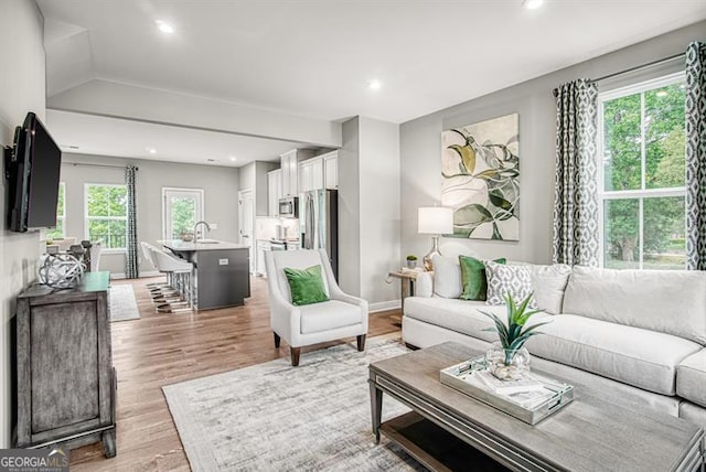 living room with light hardwood / wood-style flooring