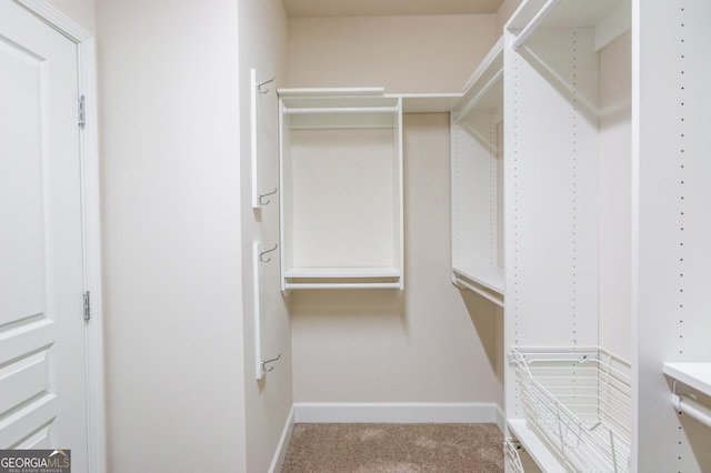 spacious closet featuring carpet flooring