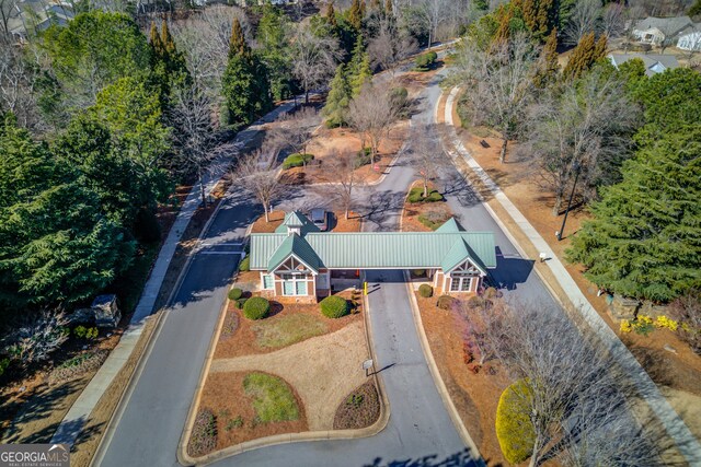 6706 Amherst Dr, Hoschton, GA 30548 - view from above of property