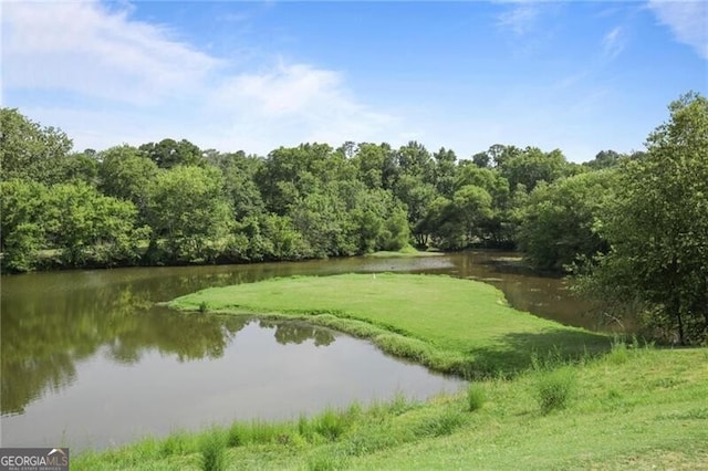 view of water feature