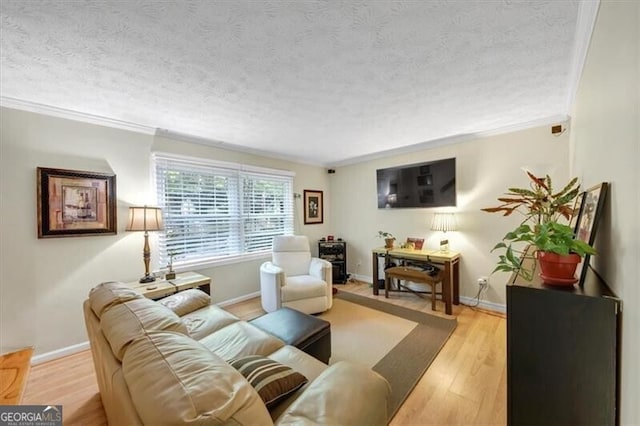 living room featuring crown molding, light hardwood / wood-style flooring, and a textured ceiling