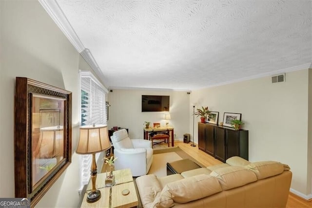 living room with crown molding and a textured ceiling