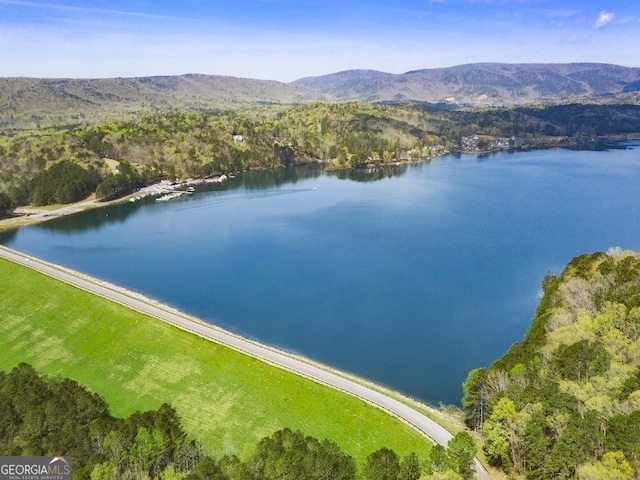 birds eye view of property featuring a water and mountain view