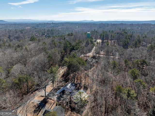 drone / aerial view featuring a mountain view