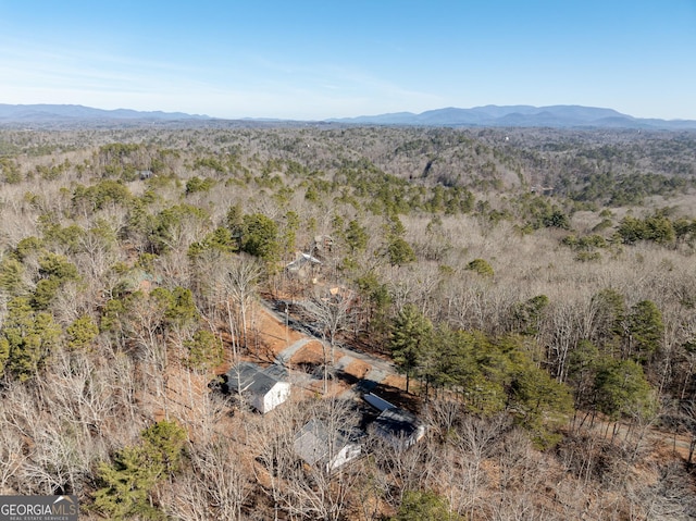 birds eye view of property featuring a mountain view