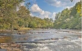 122 Acadia Dr Unit 110, Ellijay, GA 30540 - view of local wilderness with a water view and a forest view