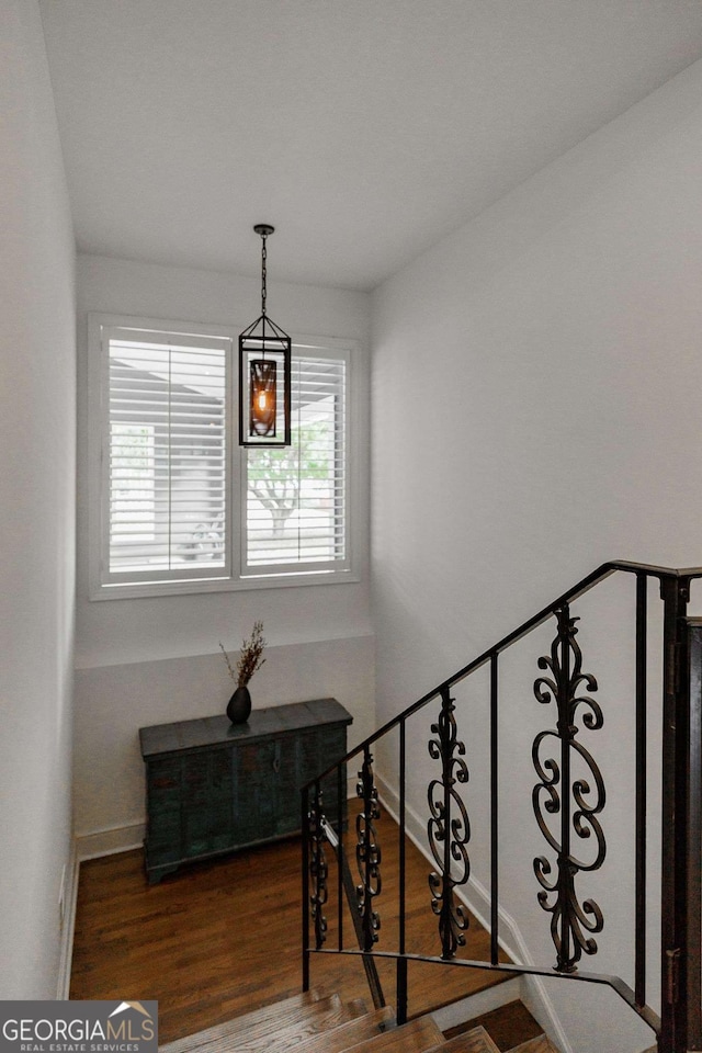 staircase featuring hardwood / wood-style flooring