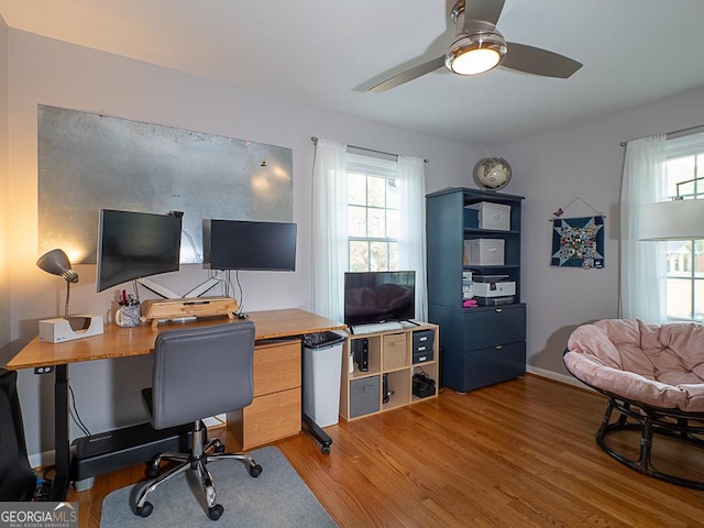 office area with light hardwood / wood-style flooring and ceiling fan