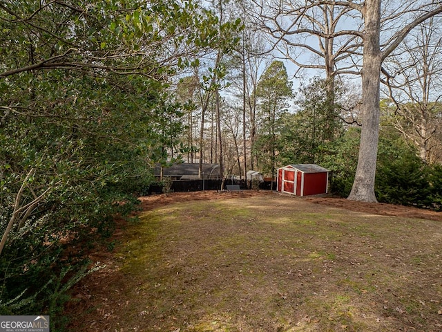 view of yard featuring a storage shed