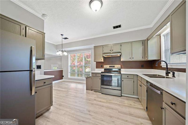 kitchen featuring appliances with stainless steel finishes, sink, hanging light fixtures, light hardwood / wood-style floors, and crown molding