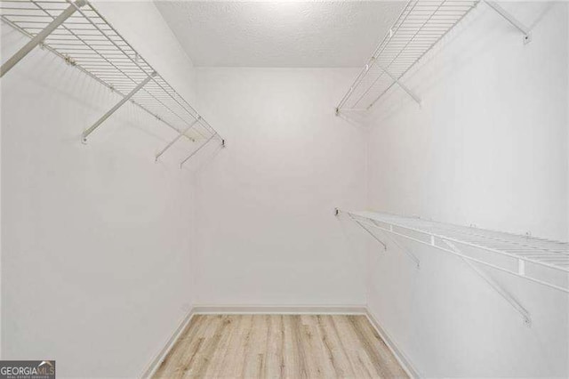 walk in closet with hardwood / wood-style floors