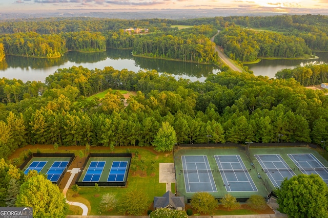 bird's eye view with a water view and a wooded view
