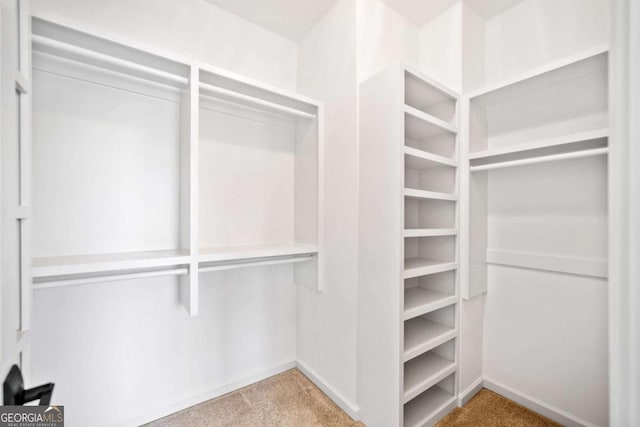 walk in closet with carpet floors