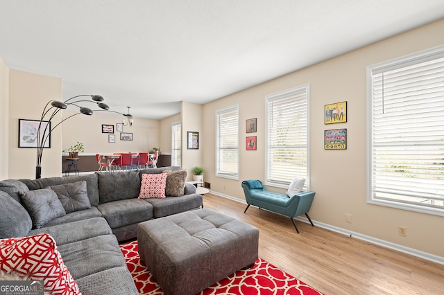 living room featuring light wood-type flooring