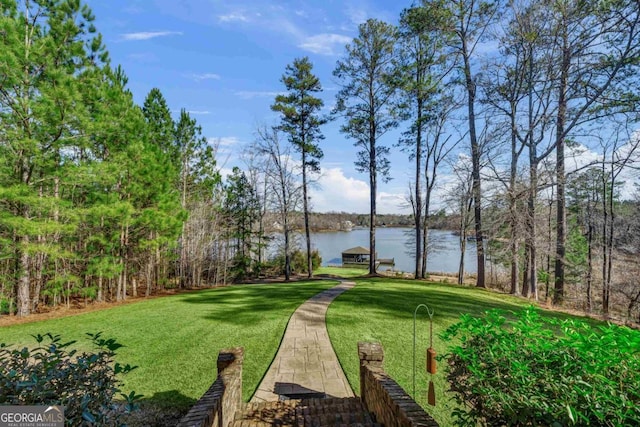 view of property's community with a water view and a yard